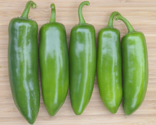 Packet of Seeds 'n Such Fooled You Jalapeño Hybrid Pepper Seeds showing 12 to 15 seeds in a colorful packet.