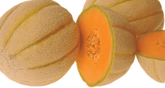 Packet of Seeds 'n Such Halona Hybrid Melon Seeds showing 12 to 15 seeds in a colorful packet.