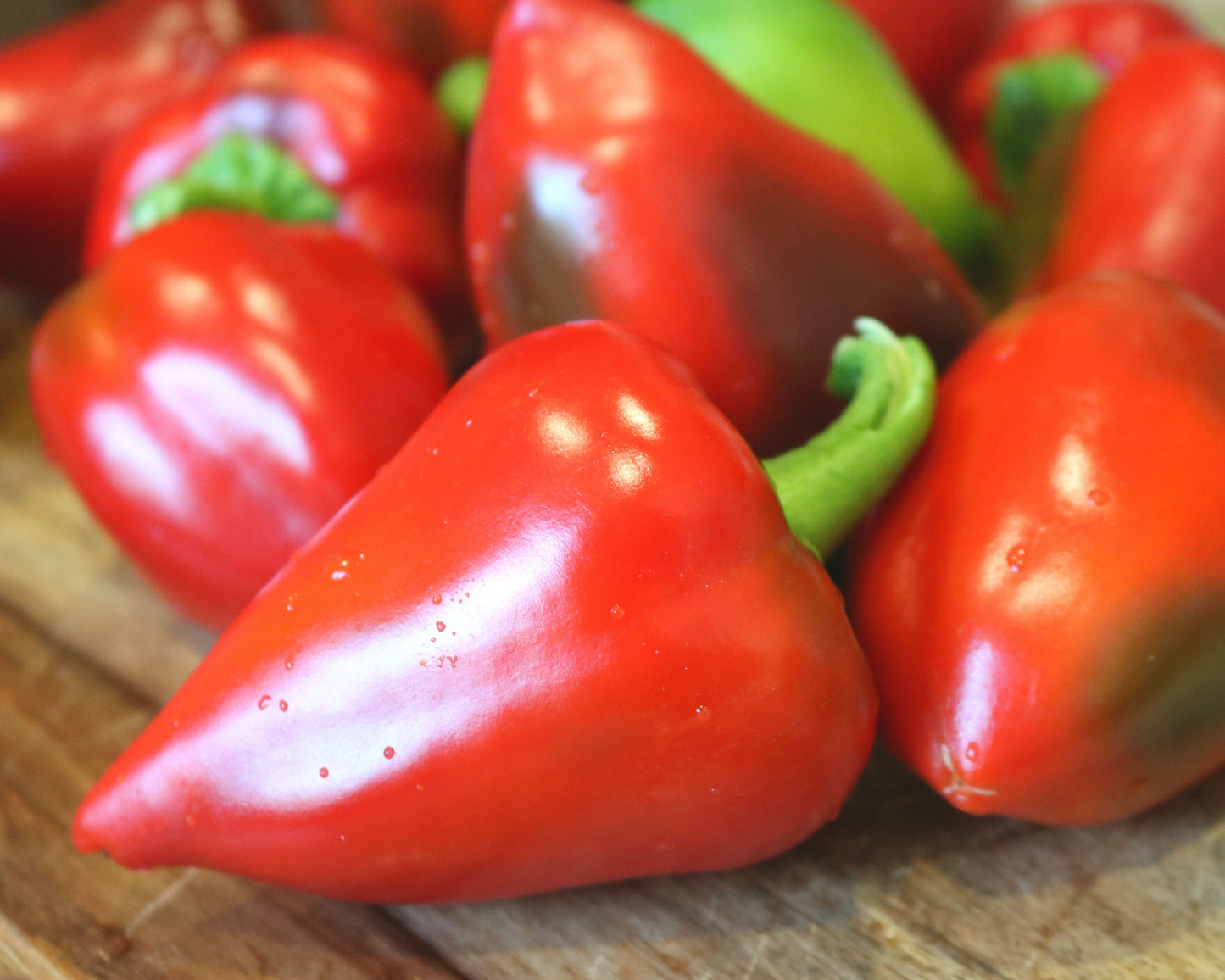 Packet of Pimiento Elite Hybrid Pepper Seeds by Seeds 'n Such, showcasing 12-15 seed grains for planting.