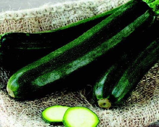 Packet of Raven Hybrid Zucchini Seeds from Seeds 'n Such showing 12 to 15 seeds in a seed packet.