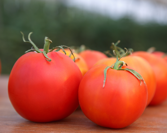 Packet of Seeds 'n Such Rubee Dawn Hybrid Tomato Seeds showing 12-15 seeds in a colorful packet.