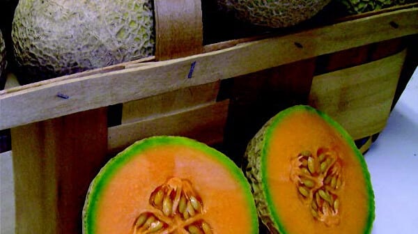 Packet of Sugar Cube Hybrid Cantaloupe Seeds from Seeds 'n Such, showcasing 12 to 15 seeds in a plant seed packet.