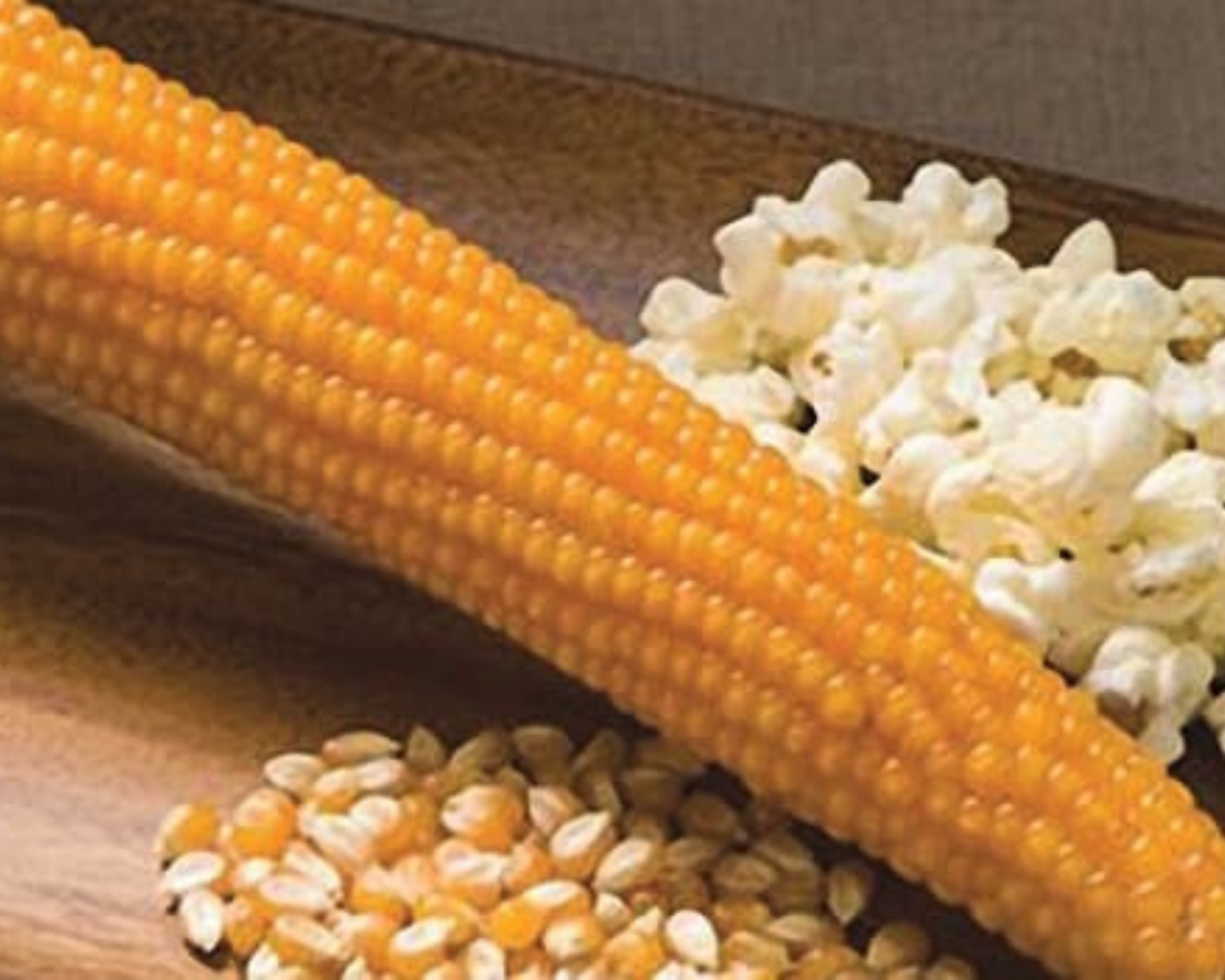 Packet of Purdue 410 Hybrid yellow corn seeds from Seeds 'n Such, featuring 125 seeds for planting.