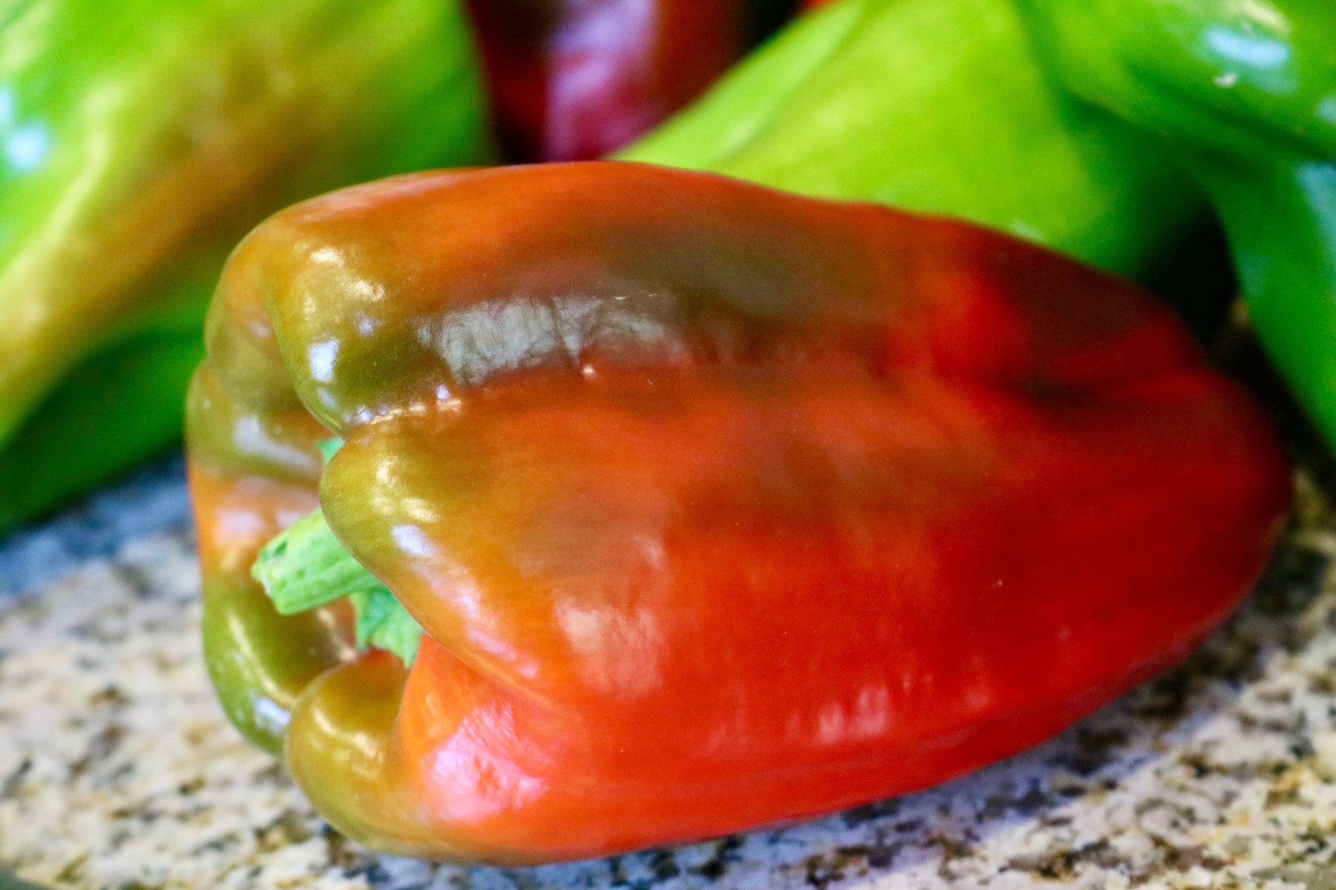 Packet of Seeds 'n Such Big Bertha Hybrid Pepper Seeds showing 15-20 seeds in a colorful packet.