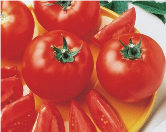 Packet of Bush Early Girl Hybrid Tomato Seeds from Seeds 'n Such, showing 15-20 seeds inside a colorful packet.