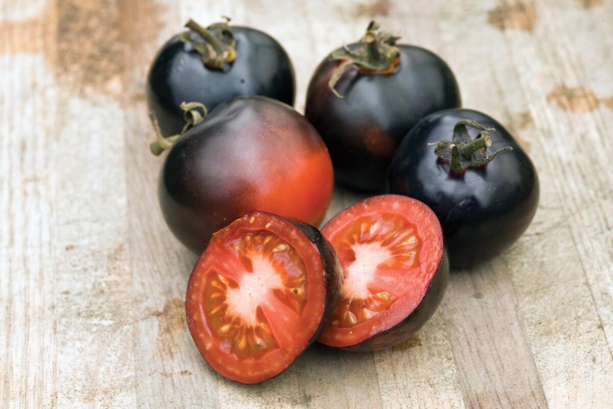 Packet of Indigo Rose Tomato Seeds from Seeds 'n Such, showing 15-20 seeds inside the packaging.