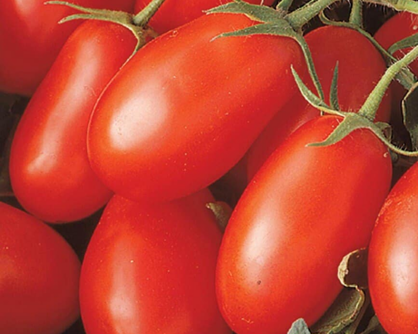 Packet of Seeds 'n Such La Roma III Hybrid Tomato Seeds showing 15-20 seeds in a colorful packet.