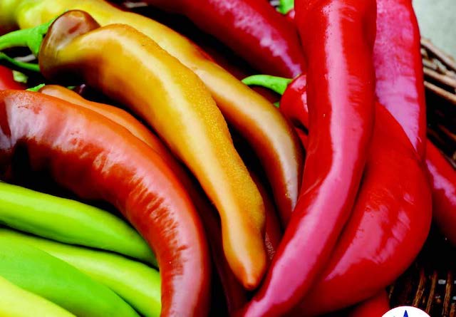 Packet of Seeds 'n Such Mexican Sunset Hot Banana Hybrid Pepper seeds with 15-20 seeds in a colorful packet.