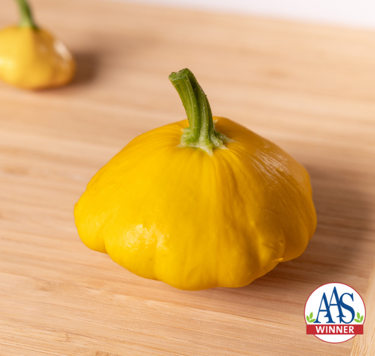 Sunburst Hybrid Summer Squash Seeds by Seeds 'n Such in a packet, showcasing vibrant seeds ready for planting.