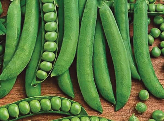 Green Arrow pea seeds in a Seeds 'n Such packet, showcasing vibrant green pea seeds for planting and gardening.