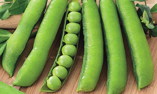 Packet of Wando Pea Seeds from Seeds 'n Such, featuring 175 seeds, ideal for planting and growing Wando peas in the garden.