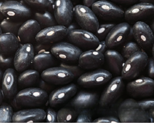 Packet of Seeds 'n Such Black Turtle Bean Seeds, 2 oz, showing black turtle bean seed packet for planting and gardening.