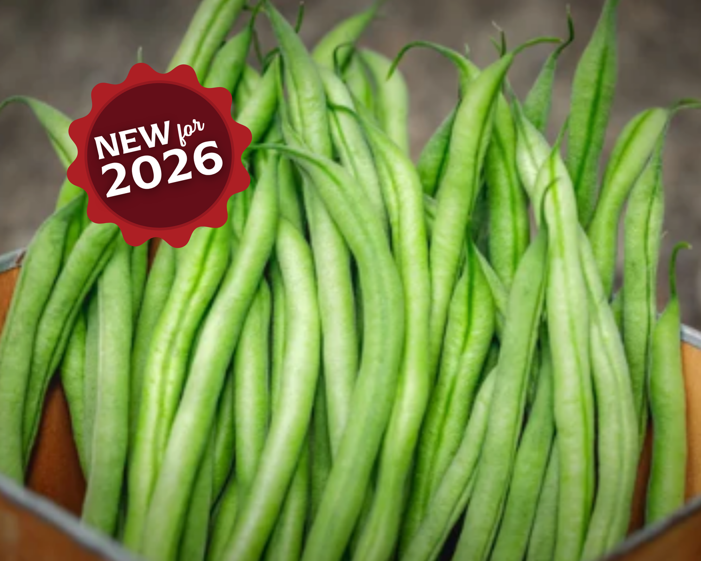 French Filet Bean Seeds from Seeds 'n Such in a 2 oz packet, showing vibrant bean seeds ready for planting.