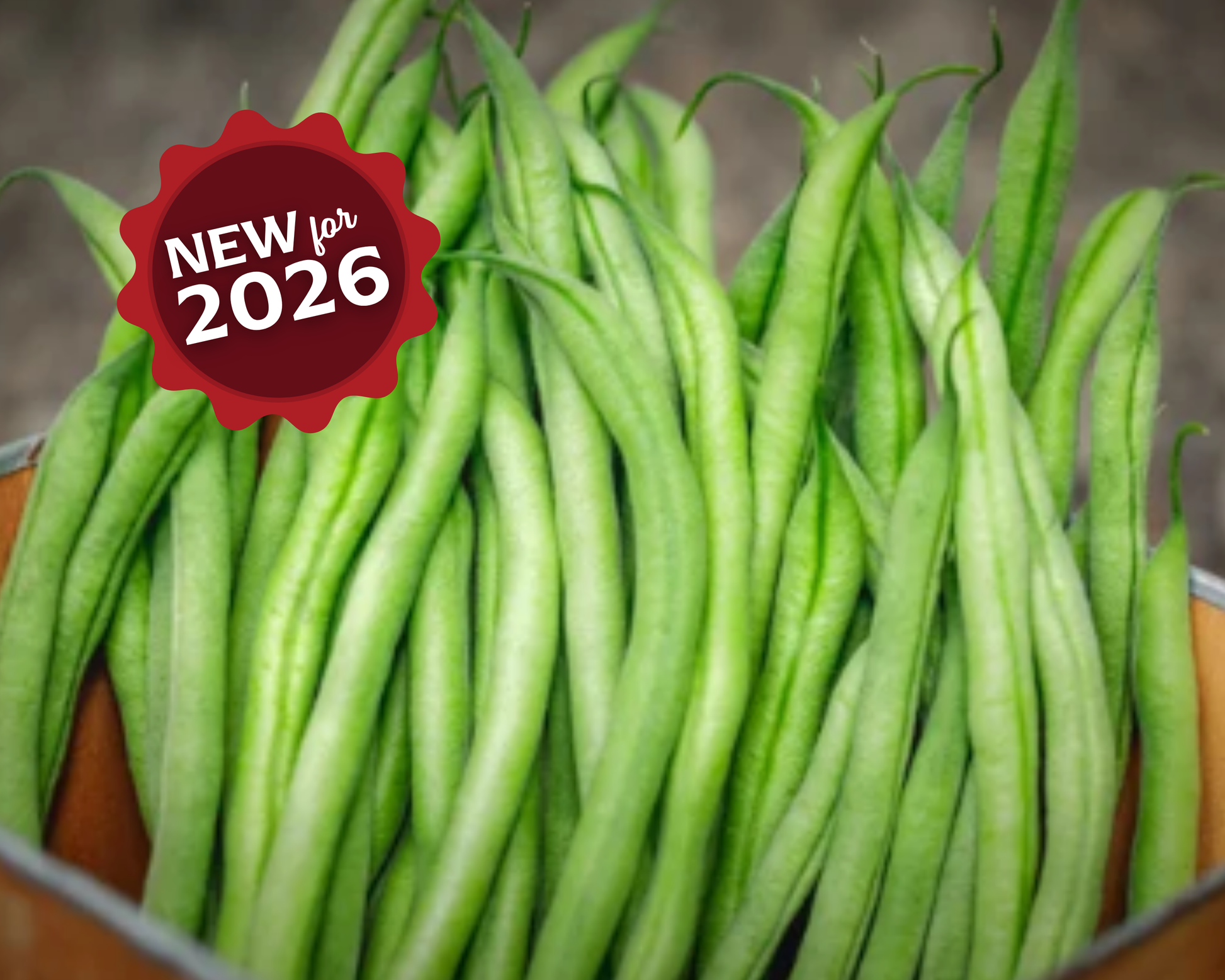French Filet Bean Seeds from Seeds 'n Such in a 2 oz packet, showing vibrant bean seeds ready for planting.