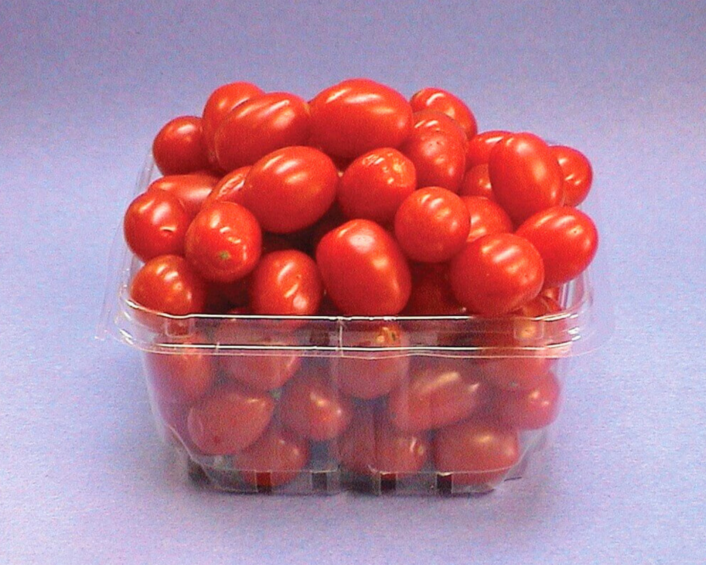 Packet of Seeds 'n Such Jelly Bean Red Hybrid Tomato Seeds showing colorful seed packet for planting.
