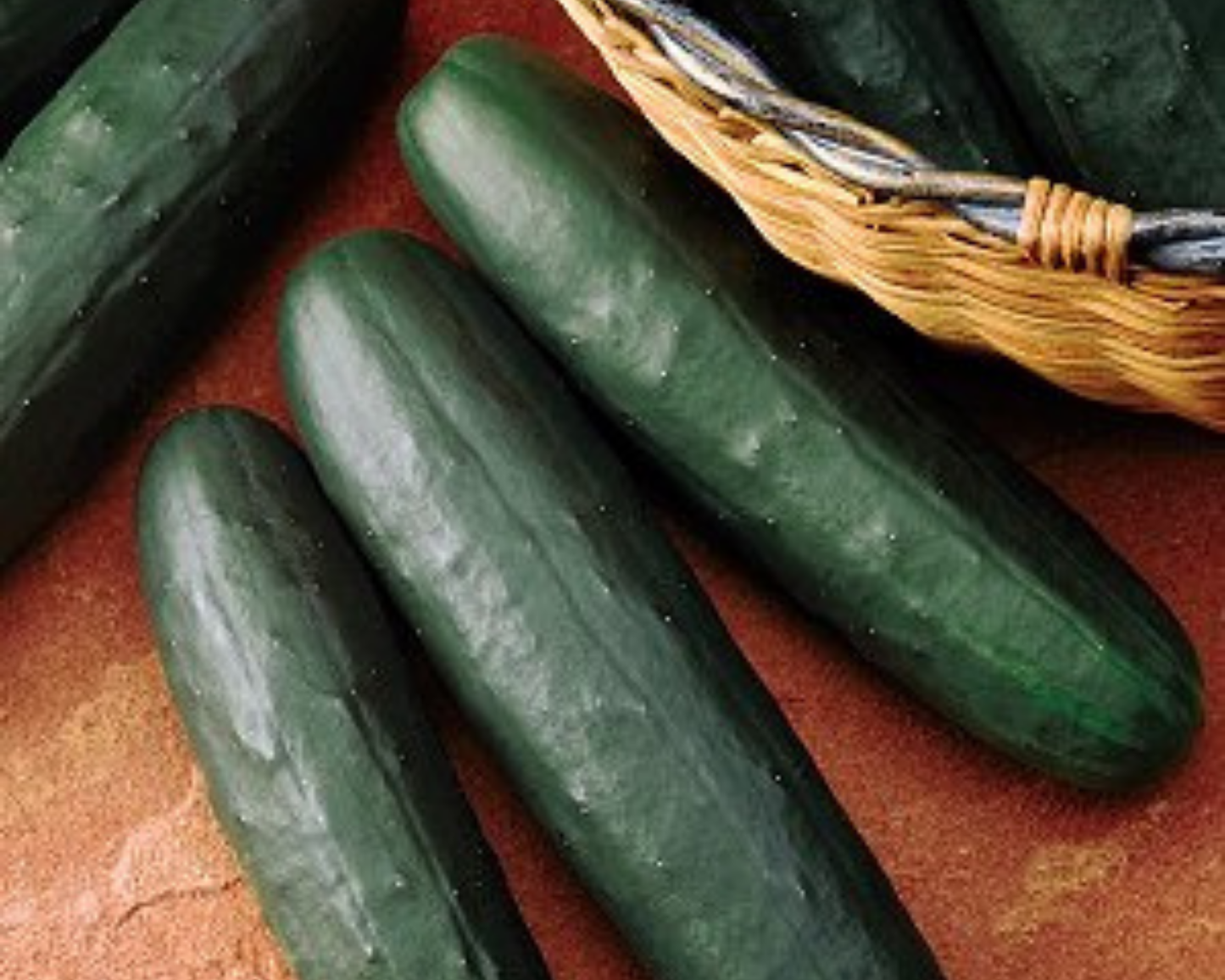 Packet of Thunder Hybrid Cucumber Seeds by Seeds 'n Such, showing 20 to 25 seeds in a colorful seed packet.