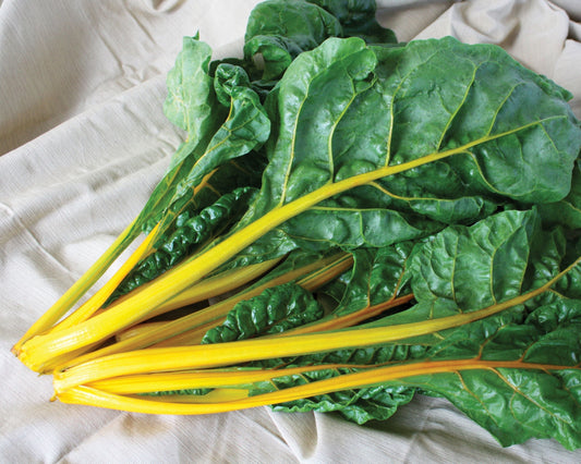 Packet of 200 El Dorado Swiss Chard Seeds from Seeds 'n Such, showing the seed packet with colorful branding and seed details.