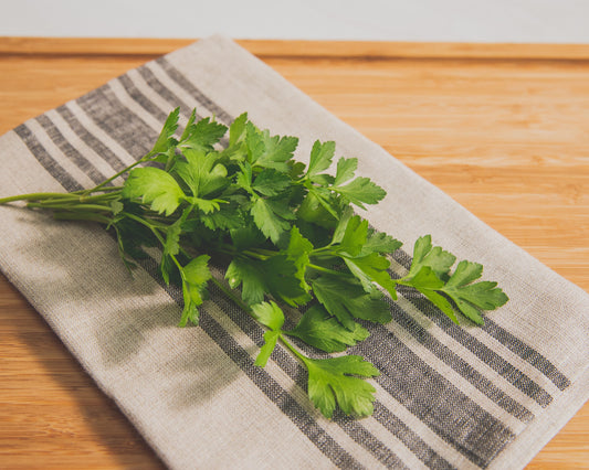 Italian plain leaf parsley seeds packet by Seeds 'n Such showing 200 seeds for planting and growing fresh parsley.