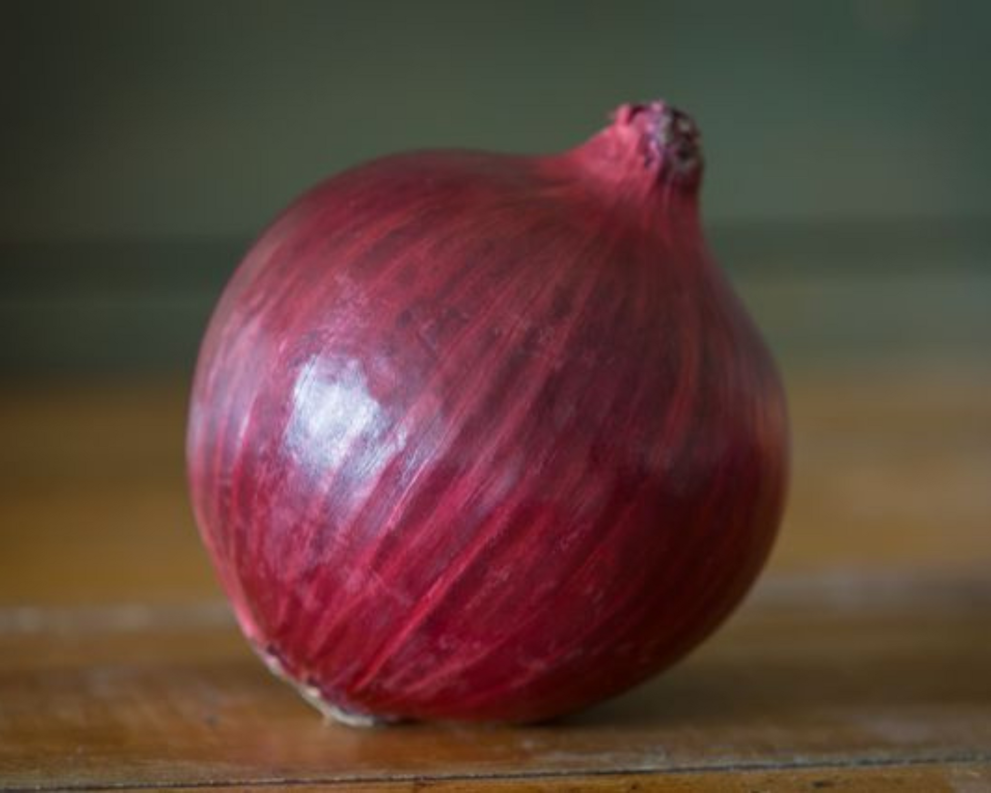 Packet of Seeds 'n Such Red Nugent Hybrid Onion seeds for planting, featuring bright red onion bulbs and green tops.