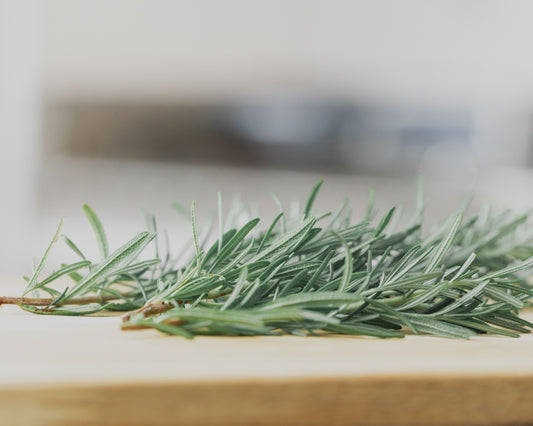 Packet of Seeds 'n Such rosemary seeds, showcasing 200 small, oval-shaped herb seeds for gardening or planting.