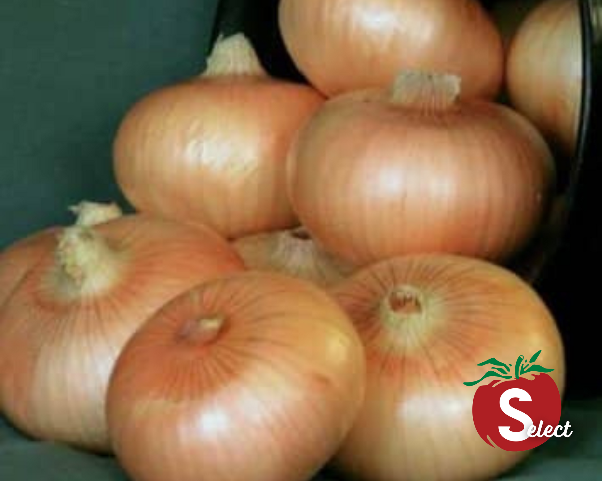 Packet of Seeds 'n Such Yellow Granex Hybrid Onion Seeds showing 200 seeds in a clear packet.