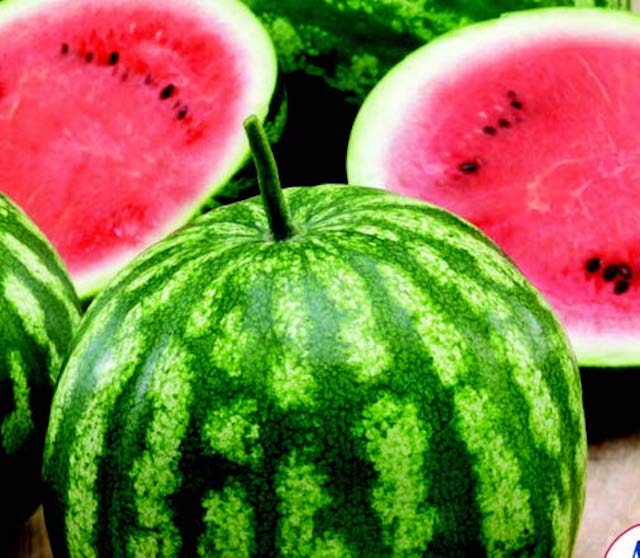 Packet of Cal Sweet Bush Watermelon Seeds by Seeds 'n Such showing 25-30 seeds in a colorful seed packet.