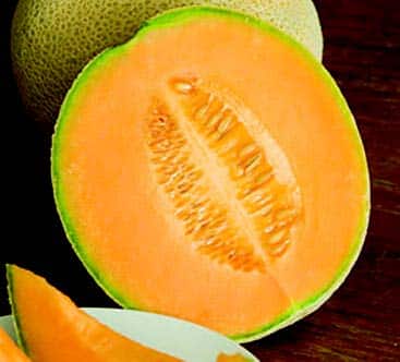 Packet of Hale's Best Jumbo Cantaloupe Seeds from Seeds 'n Such, showing 25 seeds in a clear packet.