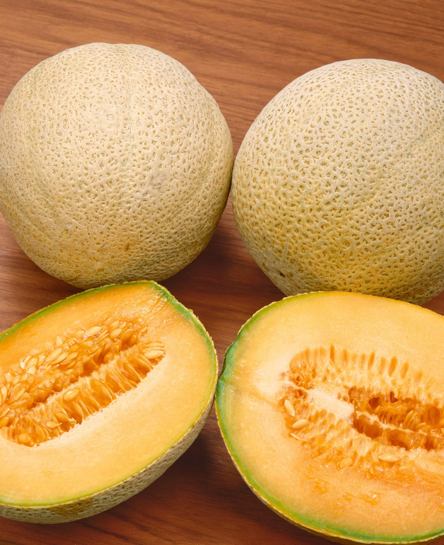 Packet of 25 Honey Rock Melon Seeds from Seeds 'n Such, showing the seed packet with seeds and branding.