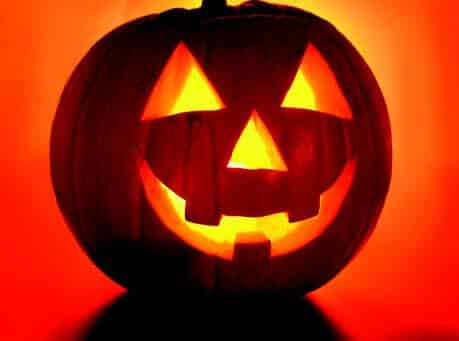 Packet of Seeds 'n Such Jack-O-Lantern Pumpkin Seeds showing 25 seeds in a clear packet for planting and growing pumpkins.