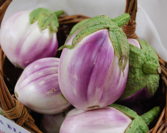 Packet of Seeds 'n Such Rosa Bianca Eggplant Seeds showing a close-up of seed packet with 25 seeds for growing Rosa Bianca eggplants.