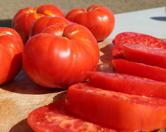 Packet of Seeds 'n Such Beefmaster Hybrid Tomato Seeds showing 25 to 30 seeds in a colorful packet.