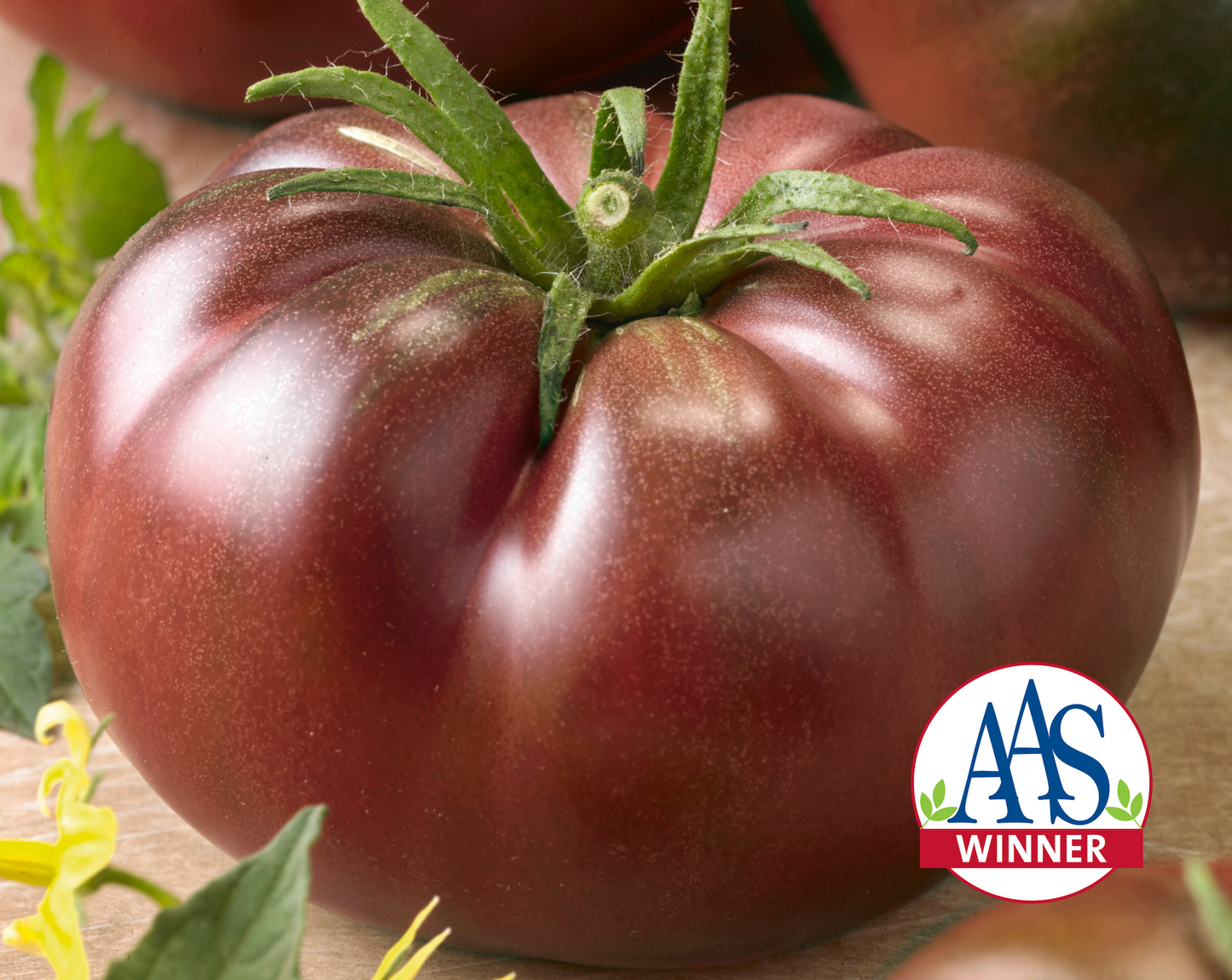 Packet of Seeds 'n Such Chef's Choice Black Hybrid Tomato Seeds with 25 to 30 seeds in a black and white packet.