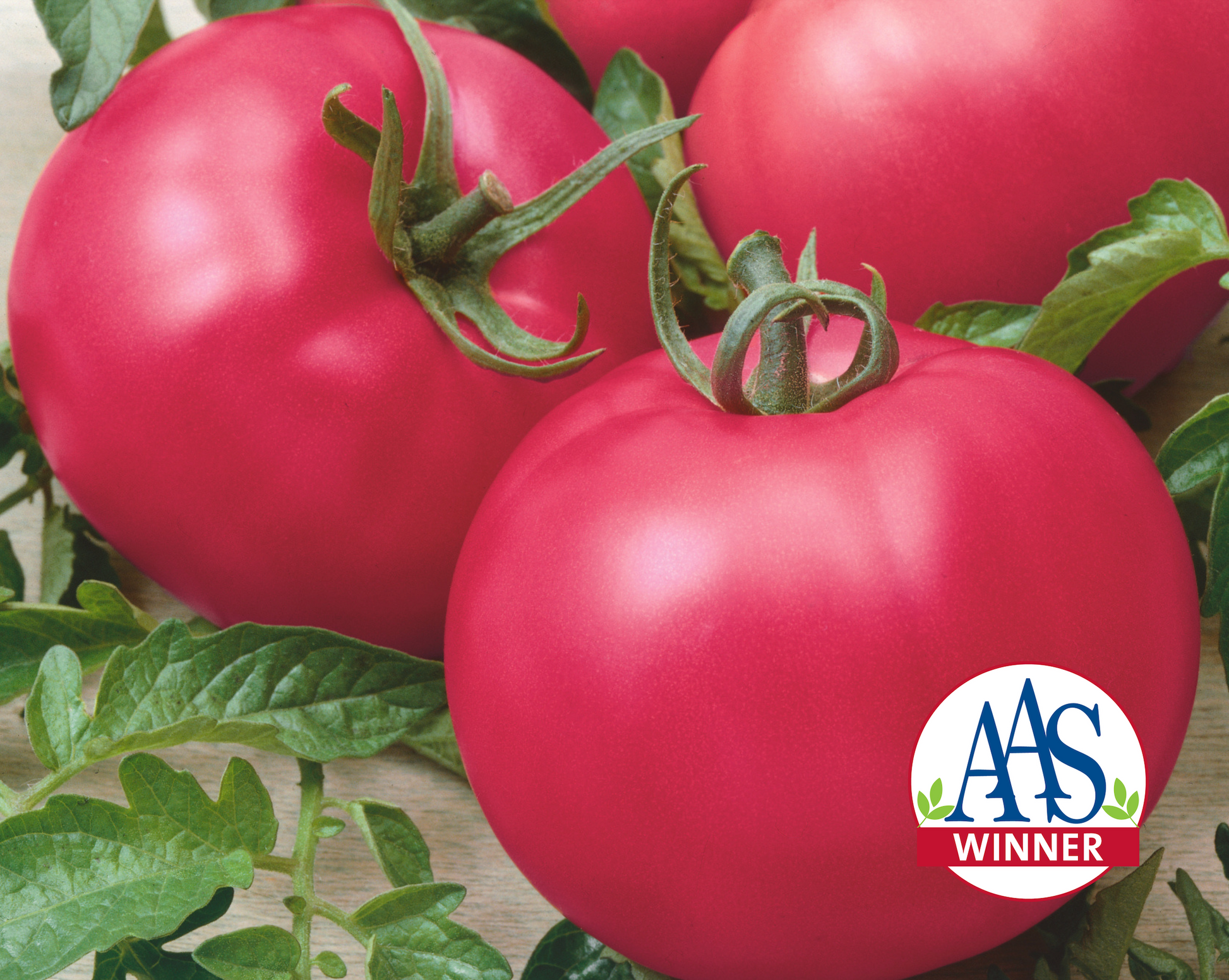 Packet of Chef's Choice Pink Hybrid Tomato Seeds by Seeds 'n Such, featuring 25 to 30 vibrant pink tomato seeds.