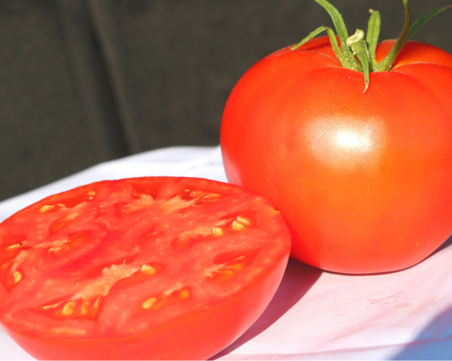 Packet of Seeds 'n Such Jetsetter Hybrid Tomato Seeds showing 25 to 30 seeds in the packaging.