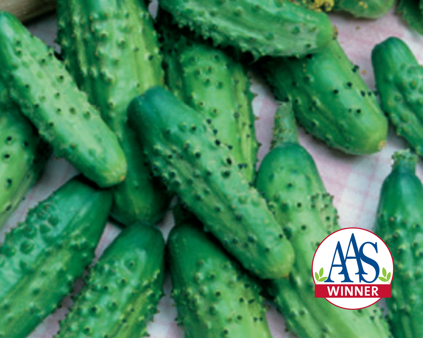 Packet of Seeds 'n Such Parisian Hybrid Cucumber Seeds with 25 to 30 seeds for gardening and gardening enthusiasts.