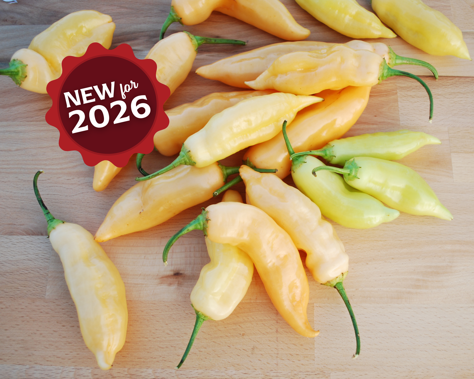Packet of Sugar Rush Peach Pepper Seeds from Seeds 'n Such, featuring bright peach-colored pepper seeds for planting.