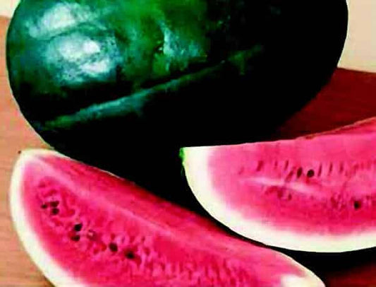 Packet of Black Diamond Watermelon Seeds by Seeds 'n Such showing 30 seeds inside the packet.
