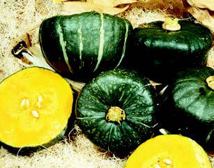 Packet of Seeds 'n Such Burgess Buttercup Winter Squash Seeds showing 30 seeds in a clear seed packet.