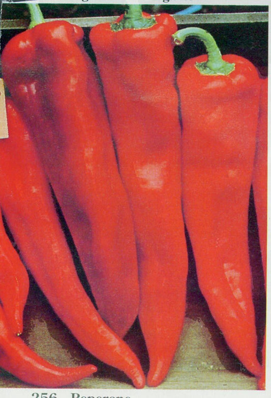 Packet of Corno di Toro red pepper seeds from Seeds 'n Such, showcasing 30 seeds for planting.