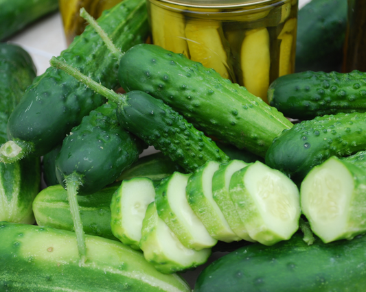 Packet of Seeds 'n Such Early Fortune Cucumber Seeds with 30 seeds for planting and growing fresh cucumbers.