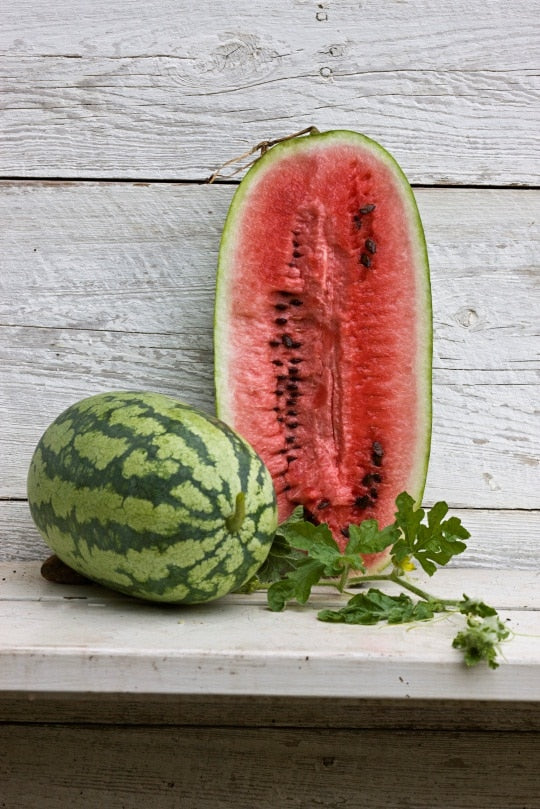 Packet of Georgia Rattlesnake Watermelon Seeds from Seeds 'n Such, showing the seed packet with colorful watermelon illustrations.