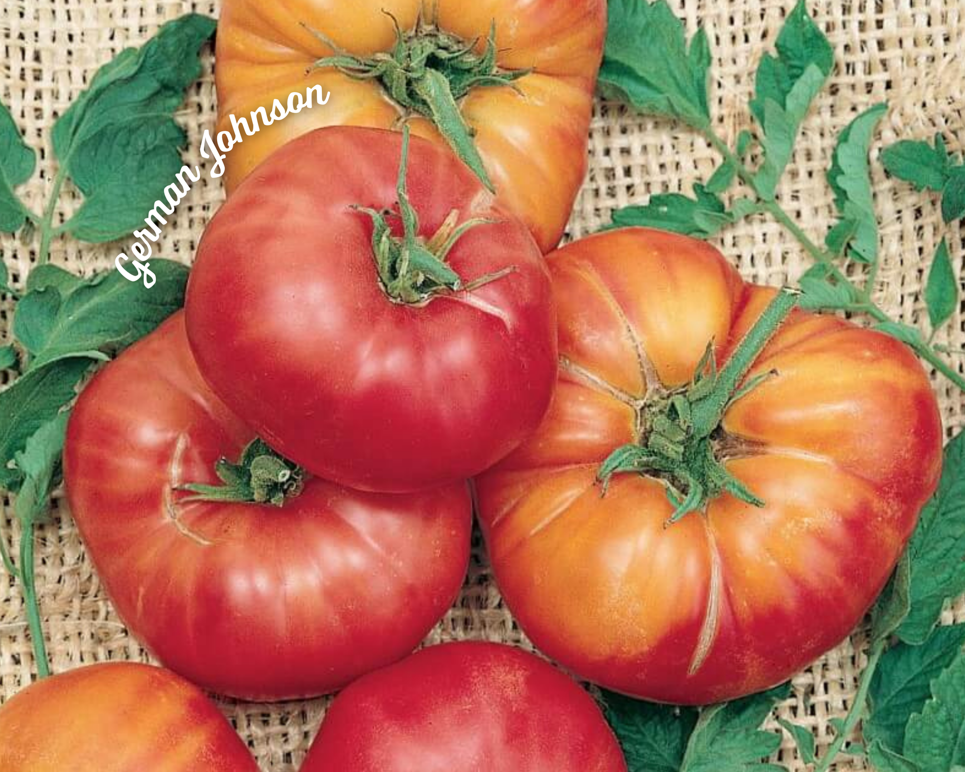 German Johnson Pink Tomato Seeds packet by Seeds 'n Such with 30 seeds for planting and growing vibrant pink tomatoes.