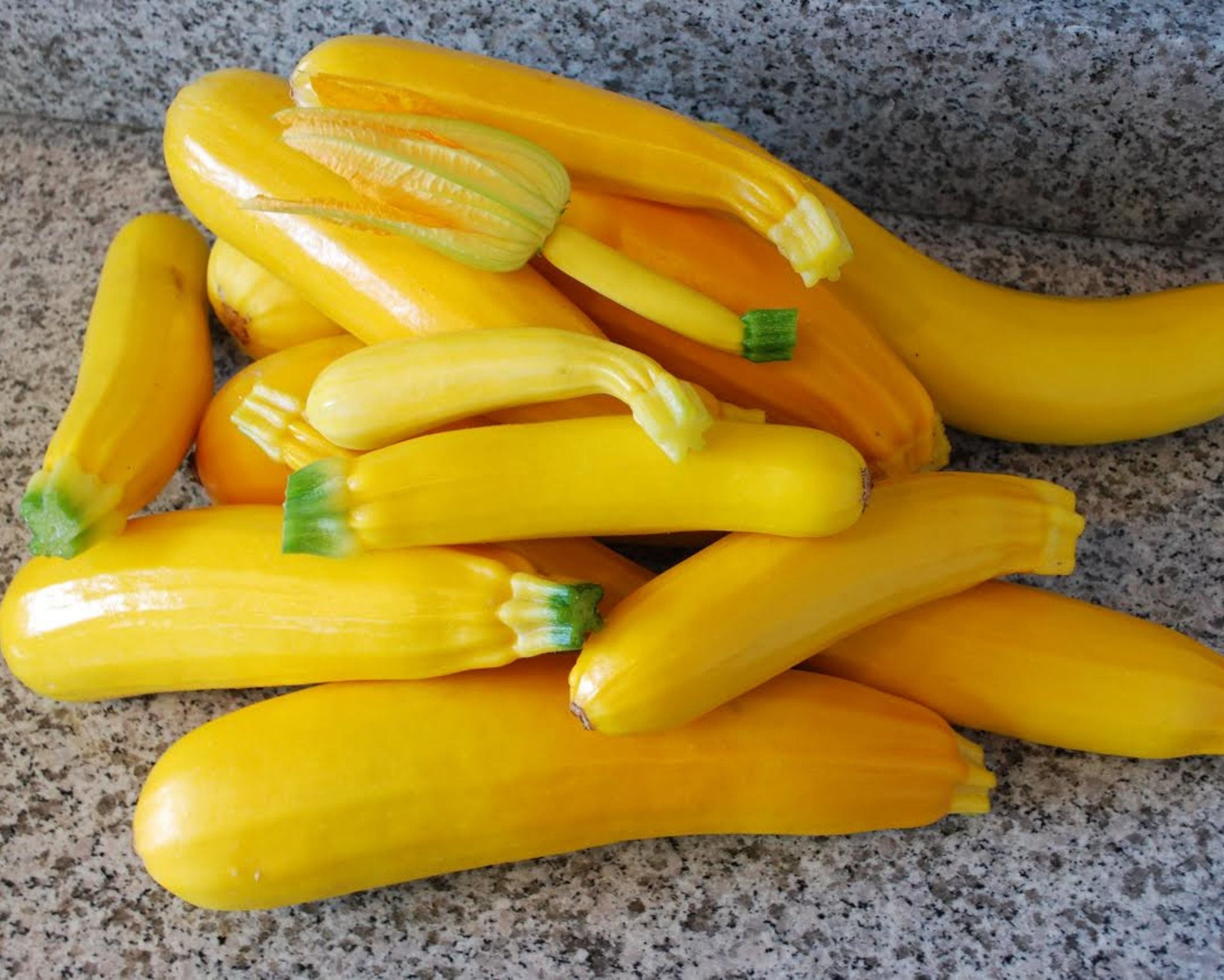 Golden zucchini seeds packet from Seeds 'n Such, showing 30 seeds for planting golden zucchini in a garden.