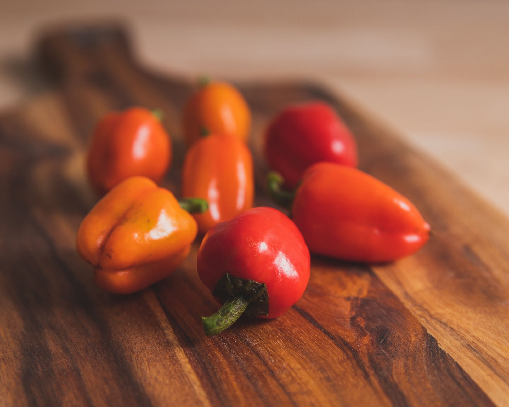 Mini Belle Mix Pepper Seeds packet from Seeds 'n Such, featuring colorful pepper seed varieties in a resealable pouch.