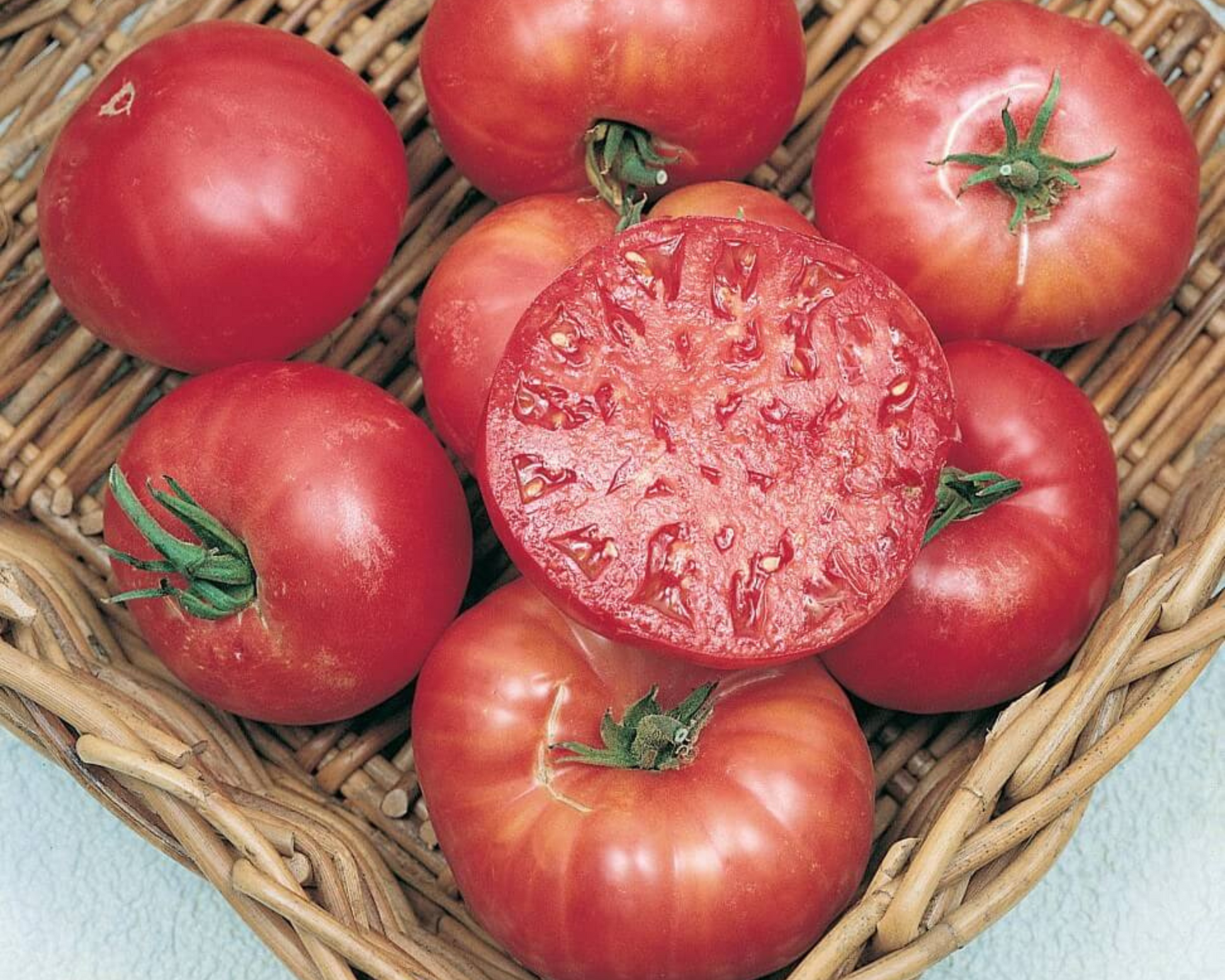 Packet of Mortgage Lifter Tomato Seeds from Seeds 'n Such showing 30 seeds in a colorful seed packet.