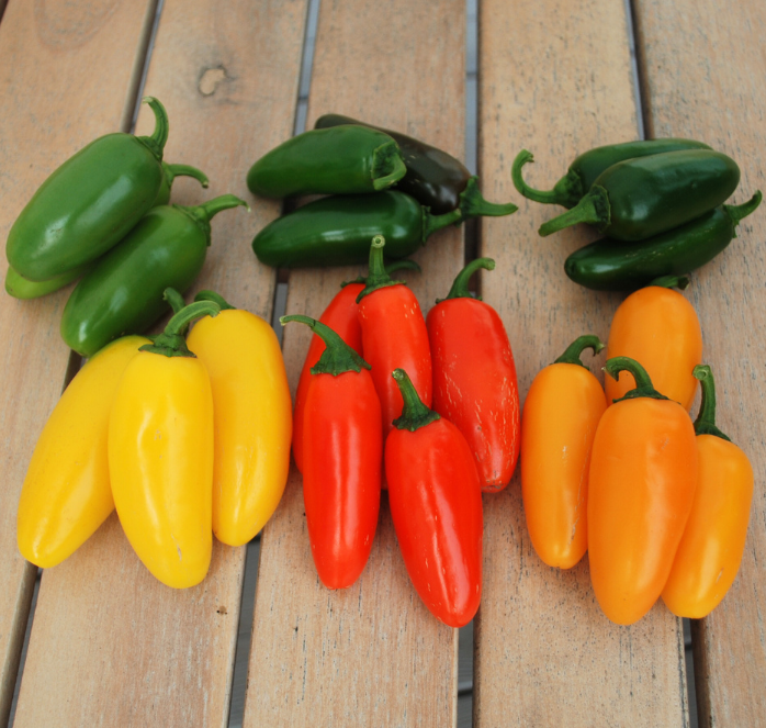 Packet of Seeds 'n Such Numex Jalapeno Spice Mix pepper seeds for planting and growing spicy jalapeno peppers.