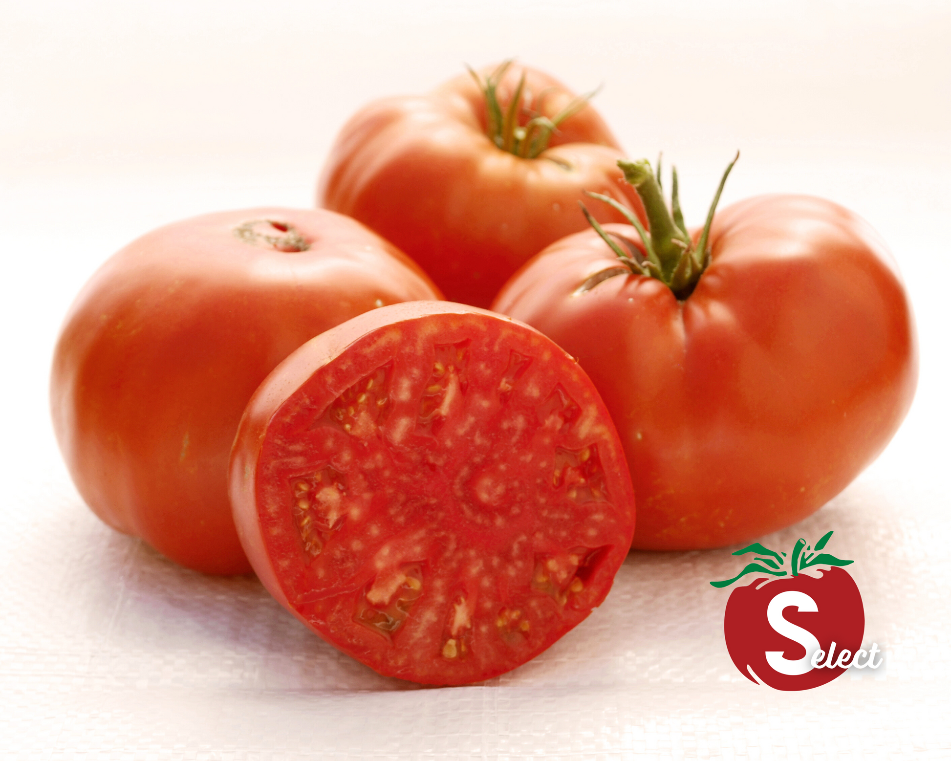Packet of Seeds 'n Such Red Brandywine Tomato Seeds showing 30 seeds in a colorful packet.
