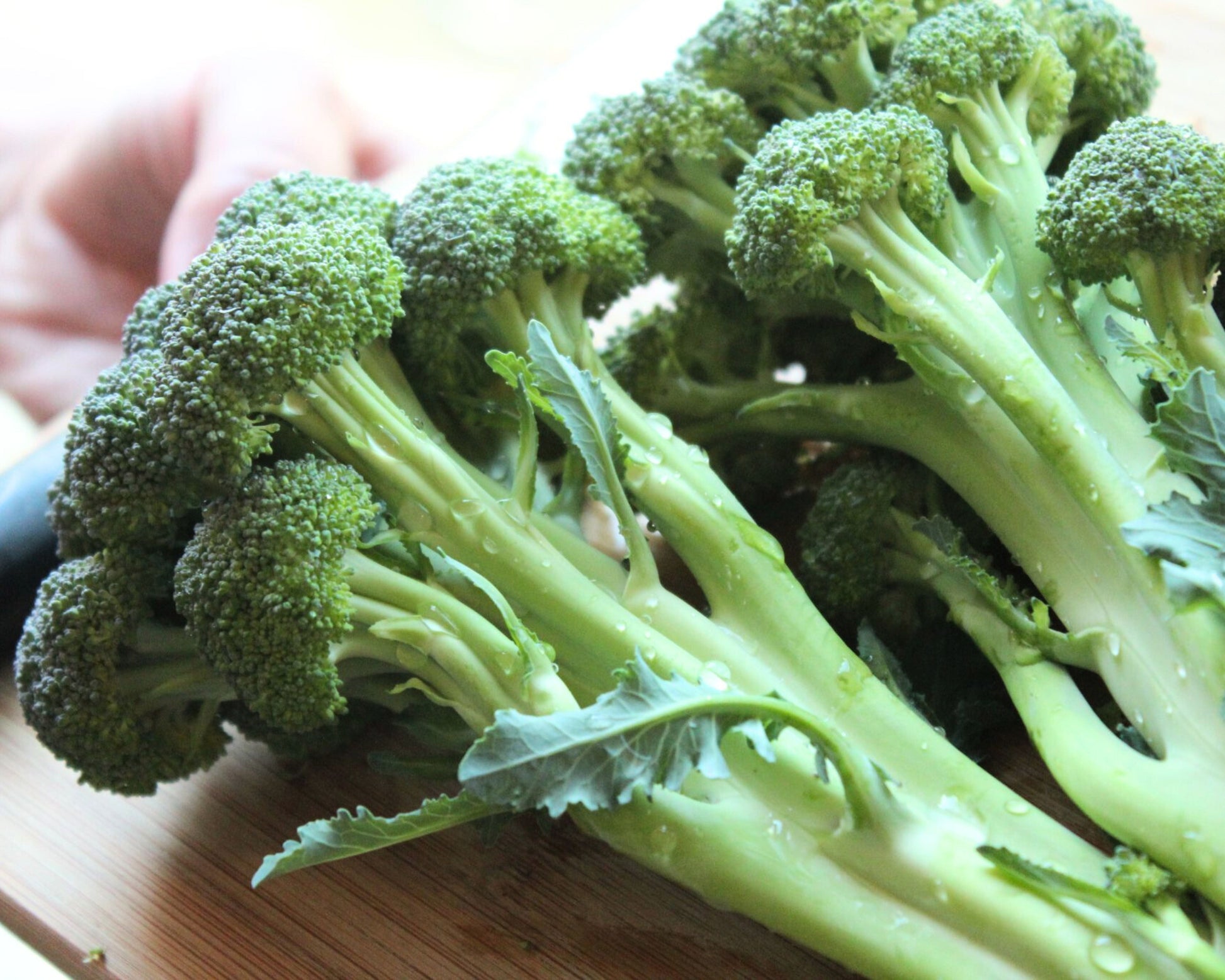 Packet of Skytree Hybrid Broccoli Seeds from Seeds 'n Such with 30 seeds in a colorful seed packet.