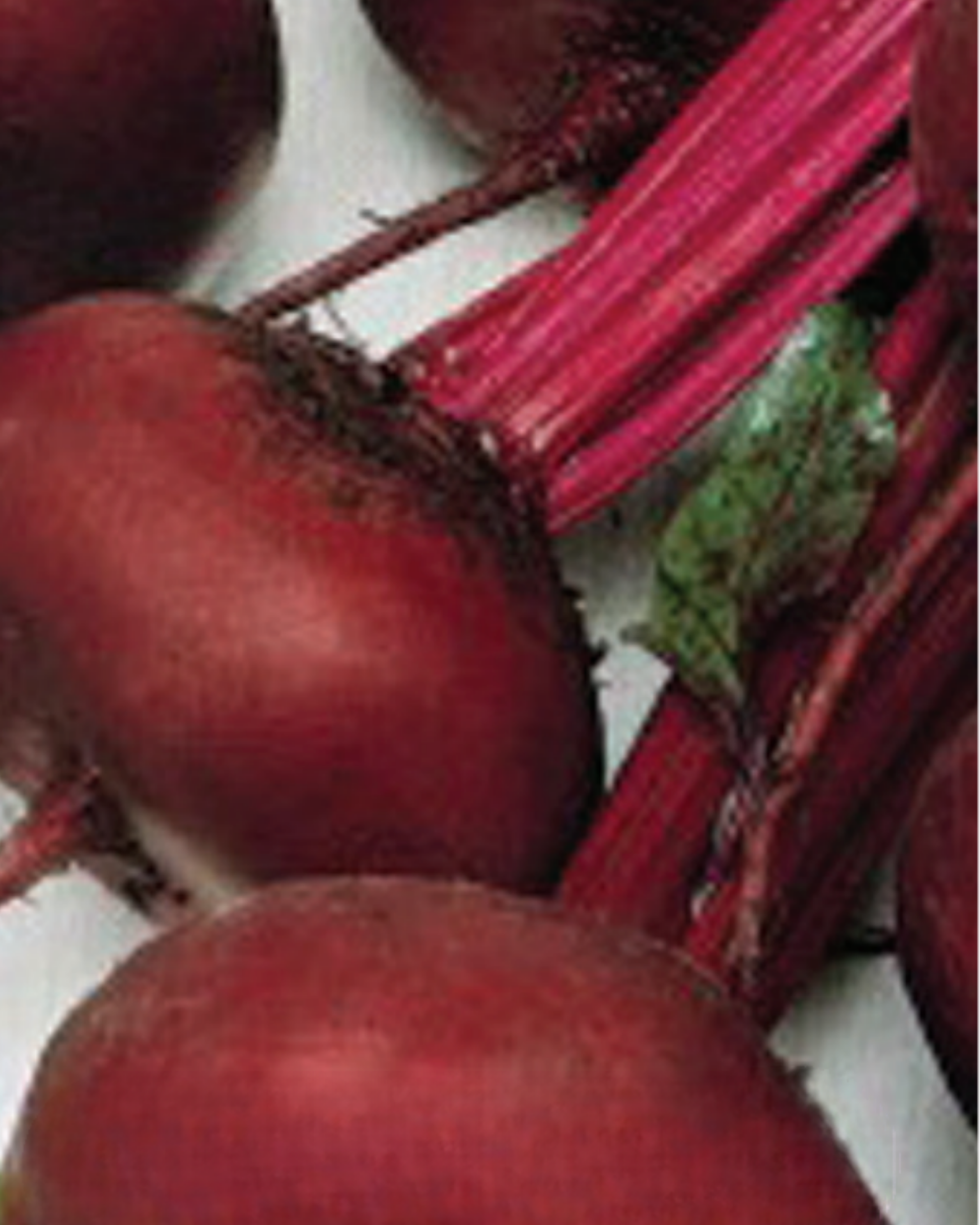 Packet of Crosby's Egyptian Beet Seeds by Seeds 'n Such, showing 300 seed packet with colorful beet seed illustrations.