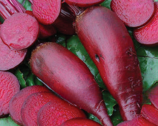 Packet of Seeds 'n Such Cylindra Beet Seeds showing 300 seeds in a clear packet for planting and gardening.